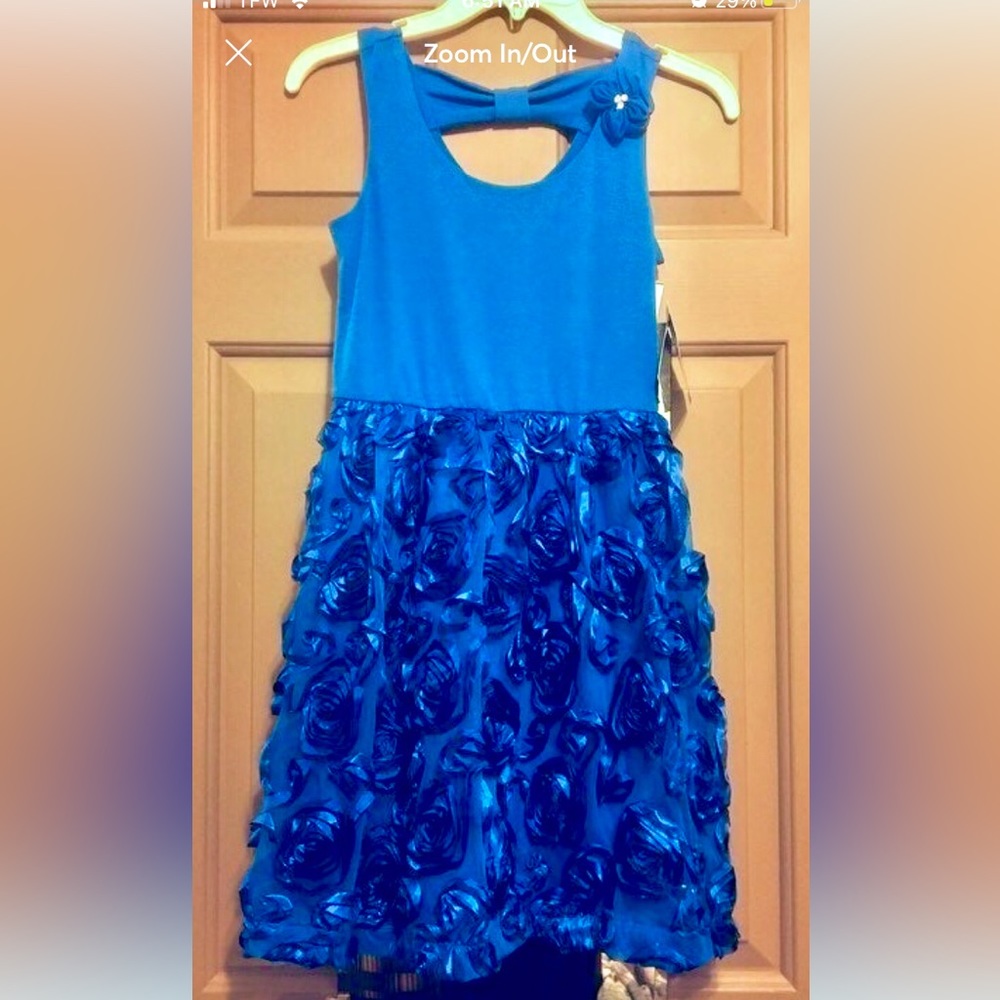 NWTs Disorderly Kids Girls Electric Blue Rose Formal Party Dress Size 12